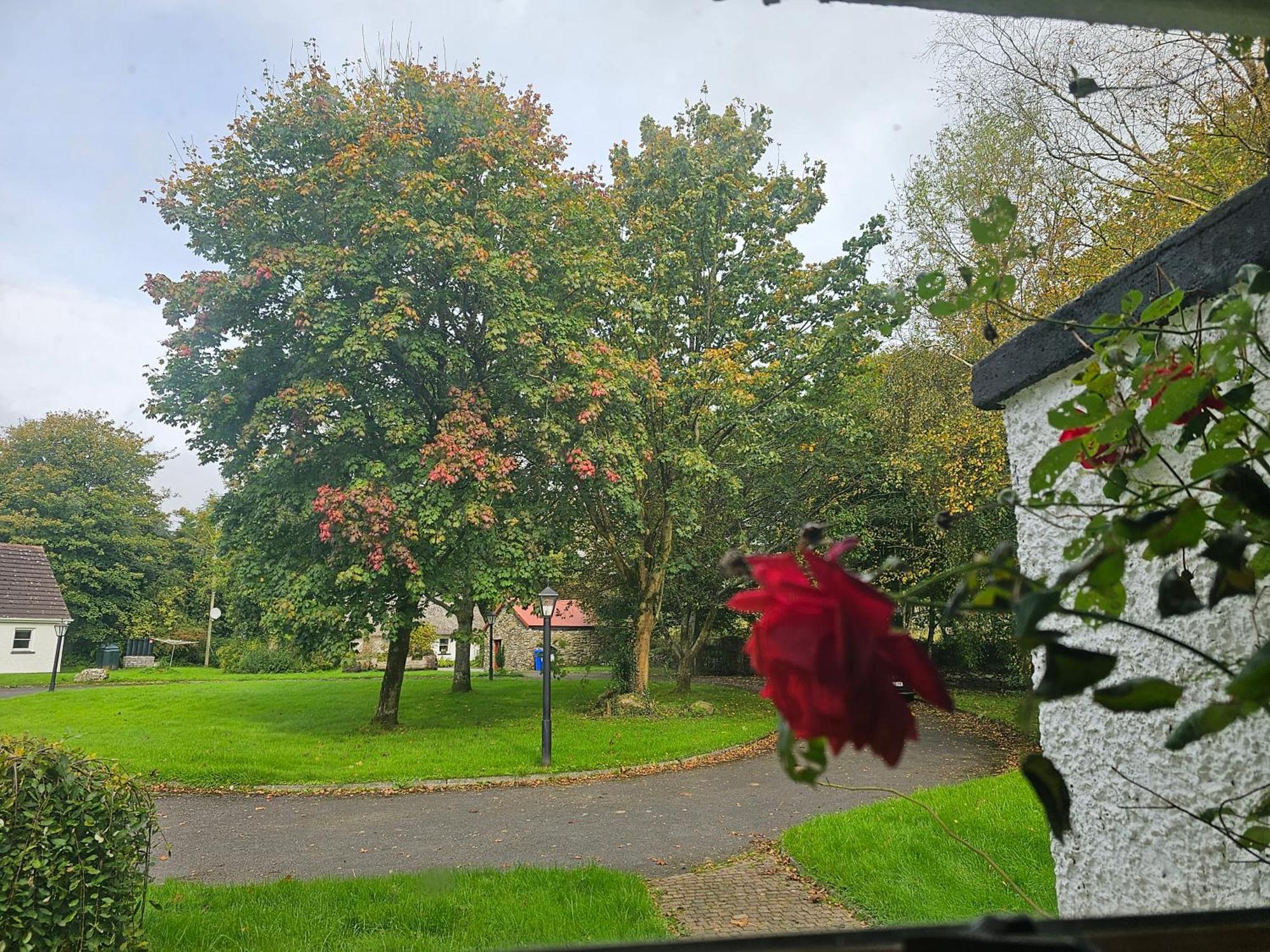 Longford Holiday Red Rose Self Catering Cottage Buitenkant foto